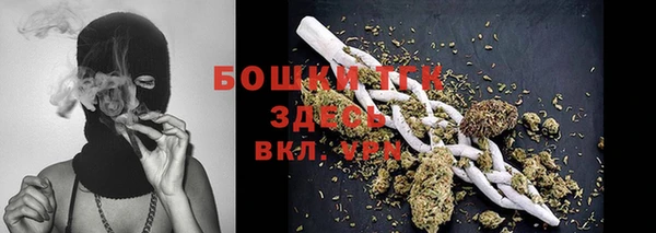 соль ск Пересвет
