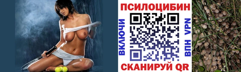 Купить где  Сибай  Псилоцибиновые грибы Magic Shrooms 
